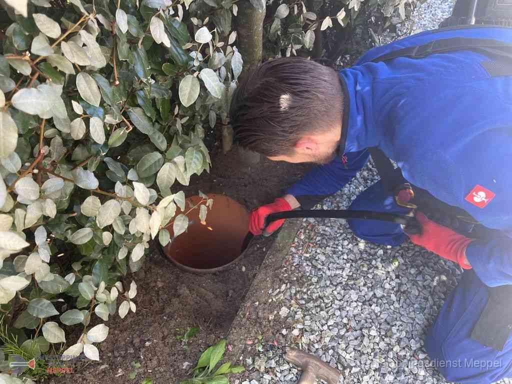 Rioolvliegjes Meppel Rioolvliegjes Meppel